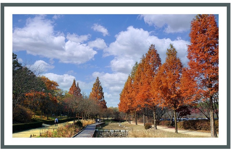 가을산책...............