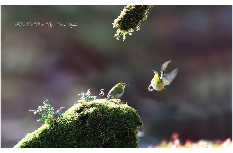 ㅡㅡㅡ   떠나간 당신을 붙잡을줄알고   ㅡㅡㅡ    ㅡㅡㅡ