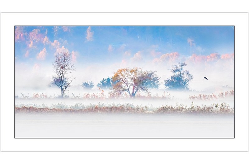 순천만의 아침..