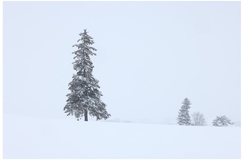 메리크리스마스