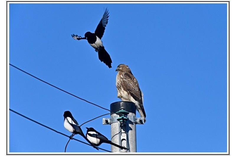 너희들 관심 없다