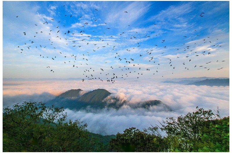 운무가 춤추던 날