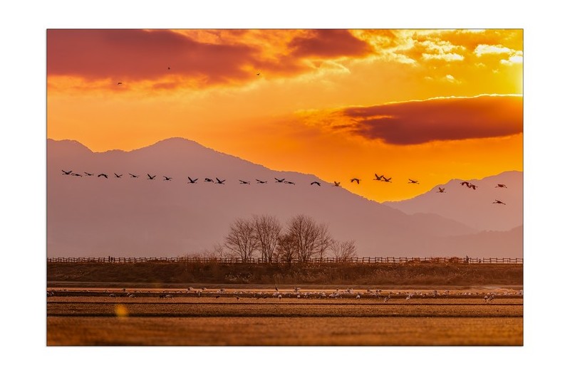 주남저수지의 석양