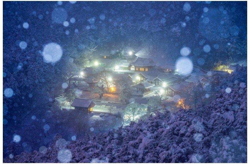 온 누리에 축복을