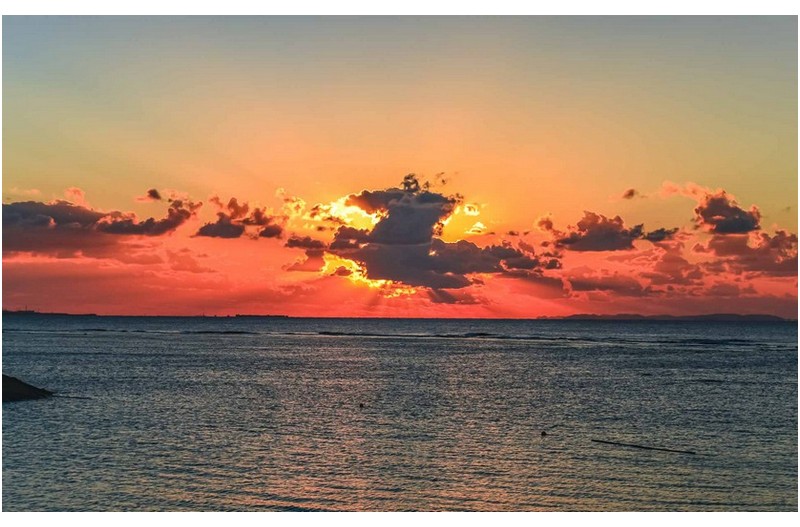 한해가 저물어 갑니다