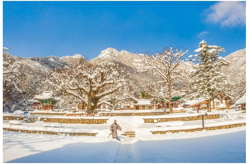 주지스님의 외출