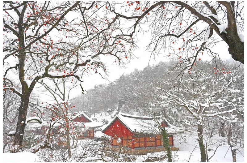 사찰의 설경