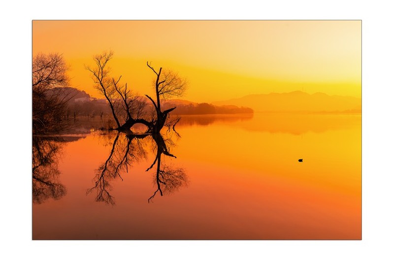 주남의 아침 소경