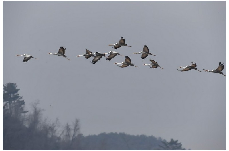 주남 재두러미`