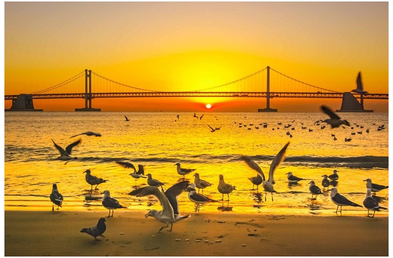 새해에 건강 하십시요