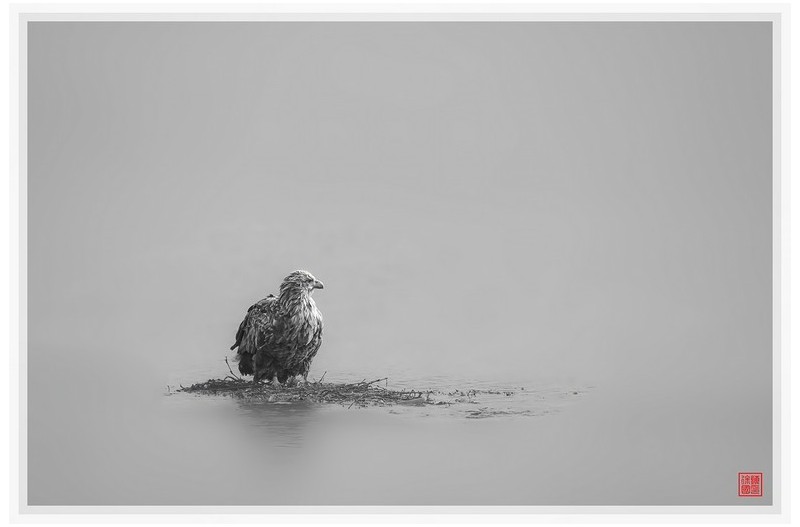 23년도 막날 금호강에서