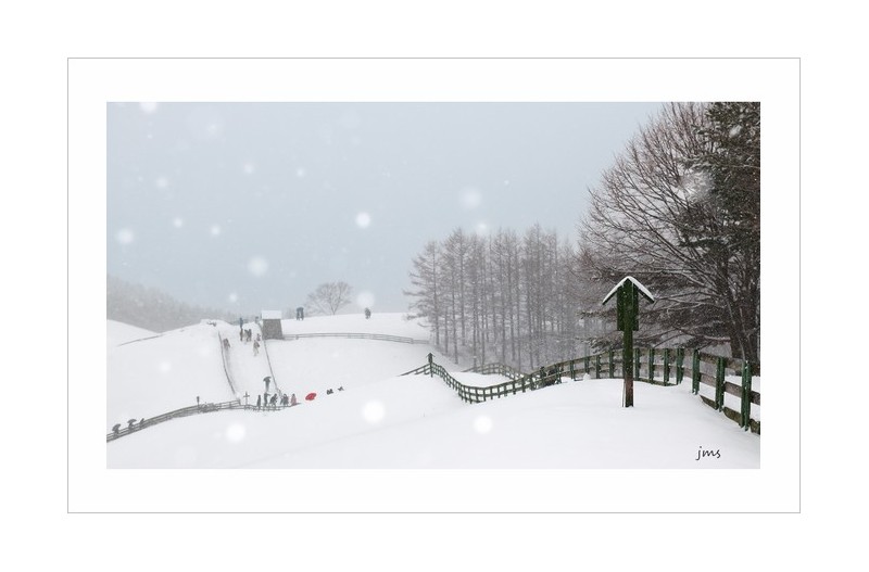 새해 복많이 받으세요