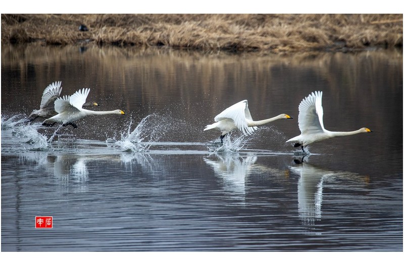 새해 복많이 받으세요.