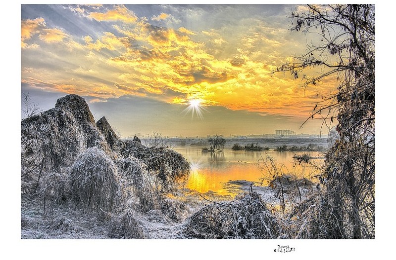 갑진년 첫 일출