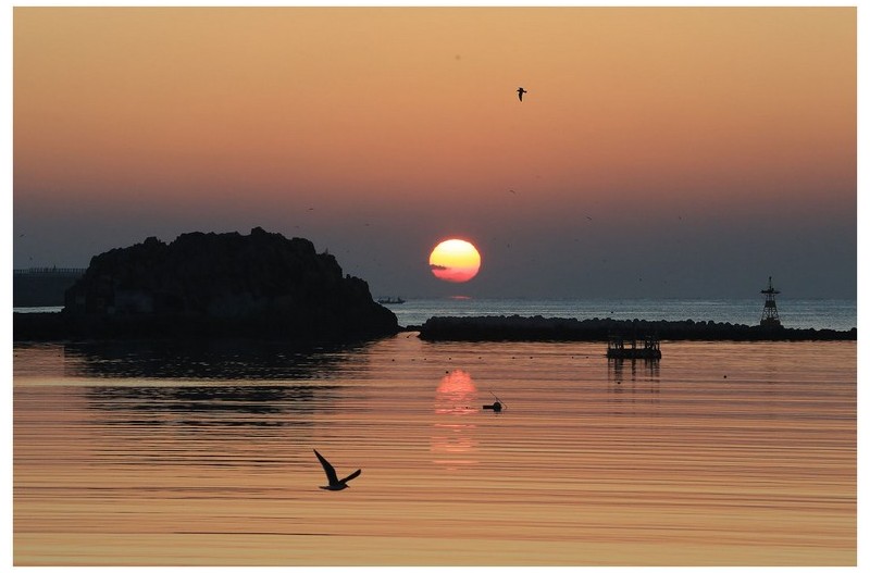 다대포 의 아침