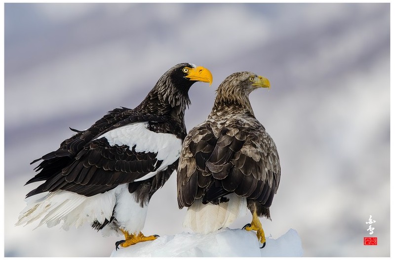 누가누가 더 멋지나요?