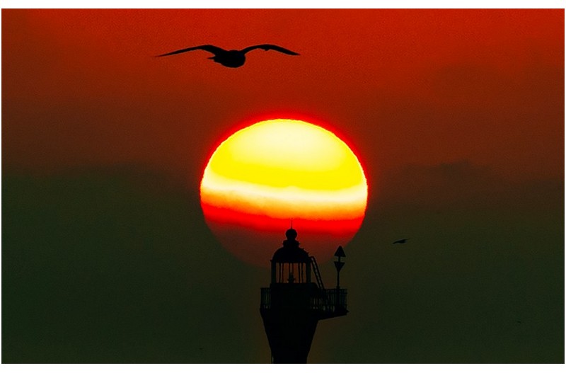 甲辰年, 해야 솟아라