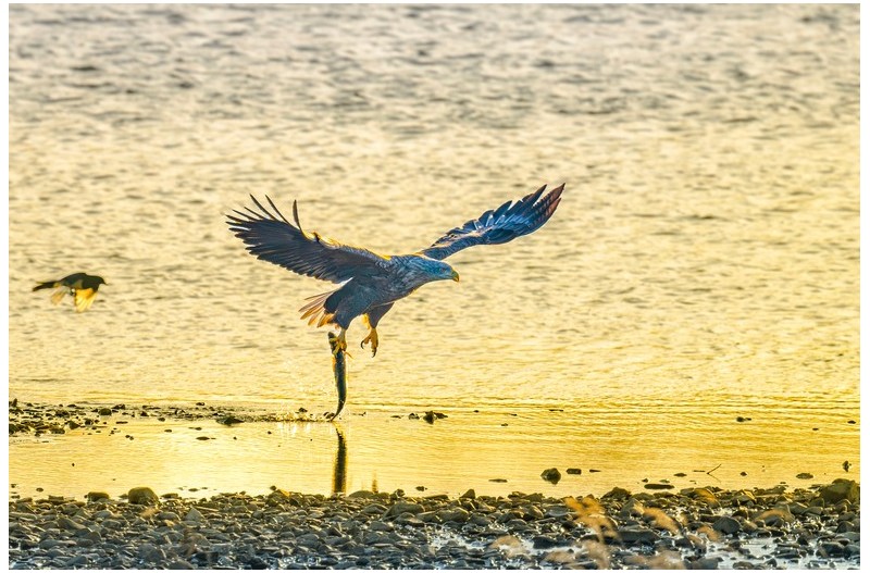 아침 먹으로....