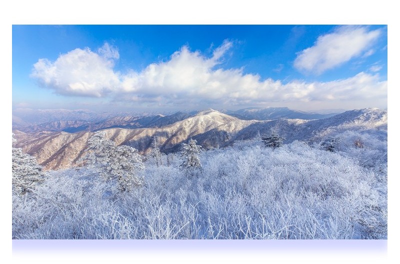 겨울 산