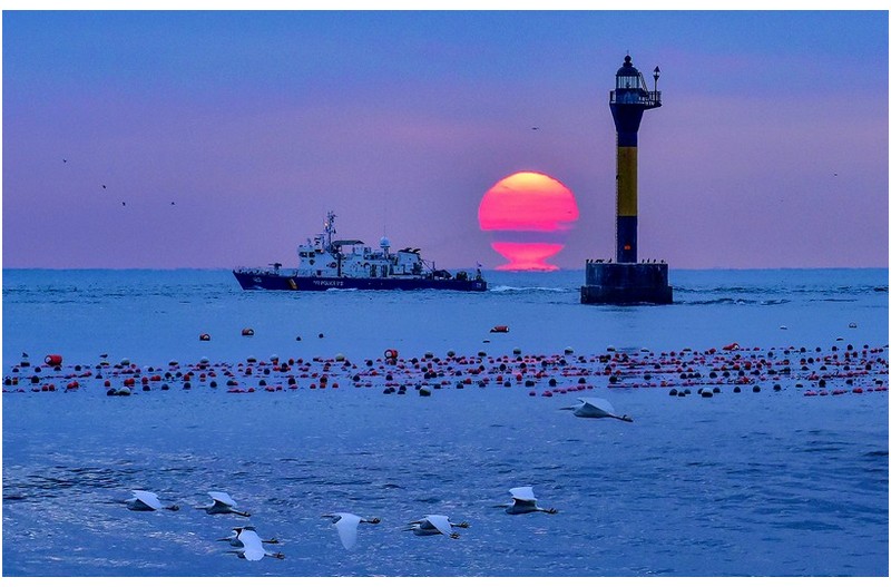갑진년 첫 오메가