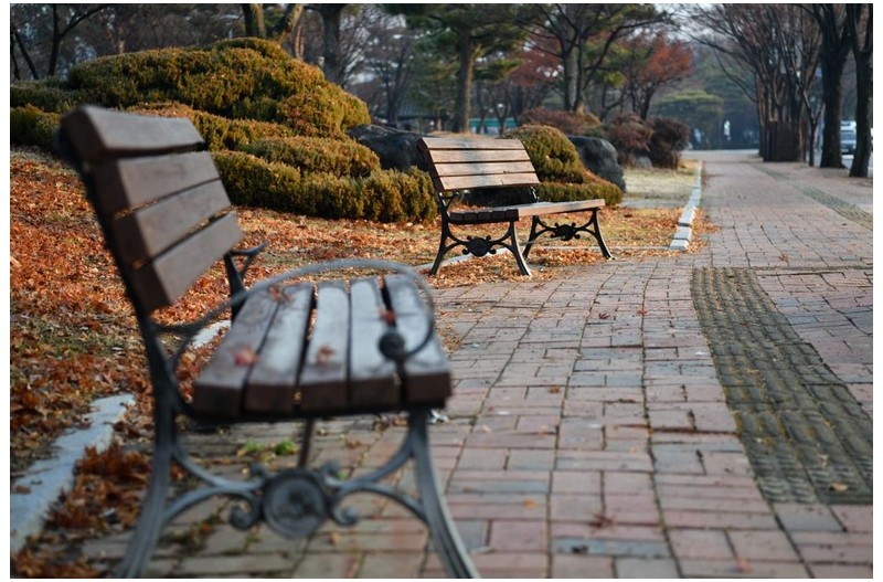 남강변 아침산책