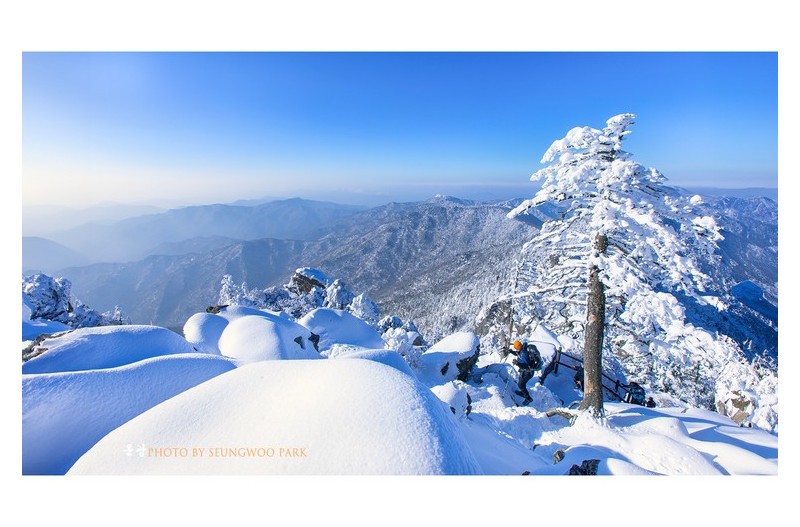 폭설 후 지리산