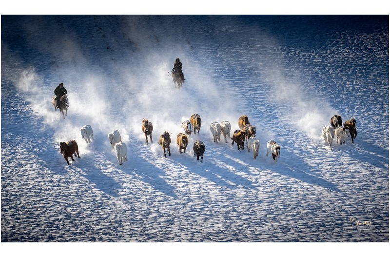 설원속의 폭풍 질주