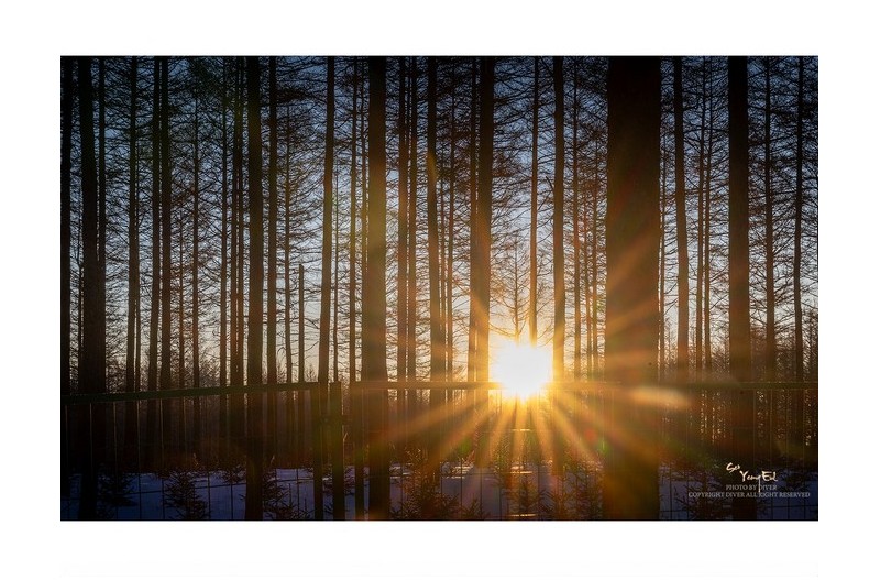 동토의 땅에도 아침이