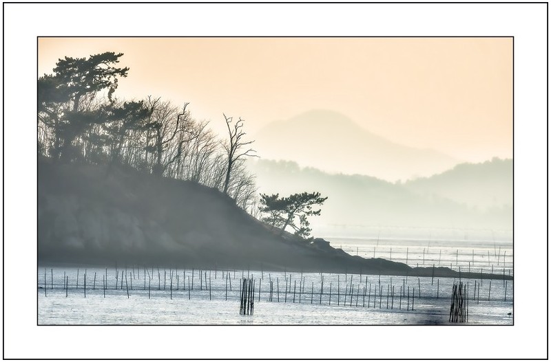 순천만의 오후..