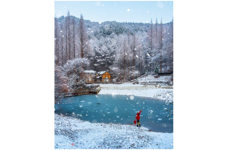 눈이 내리는 날에...