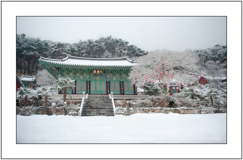 만연사의겨울,,
