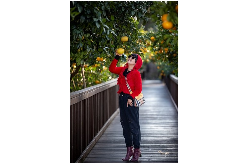 제주도에는 봄기운이