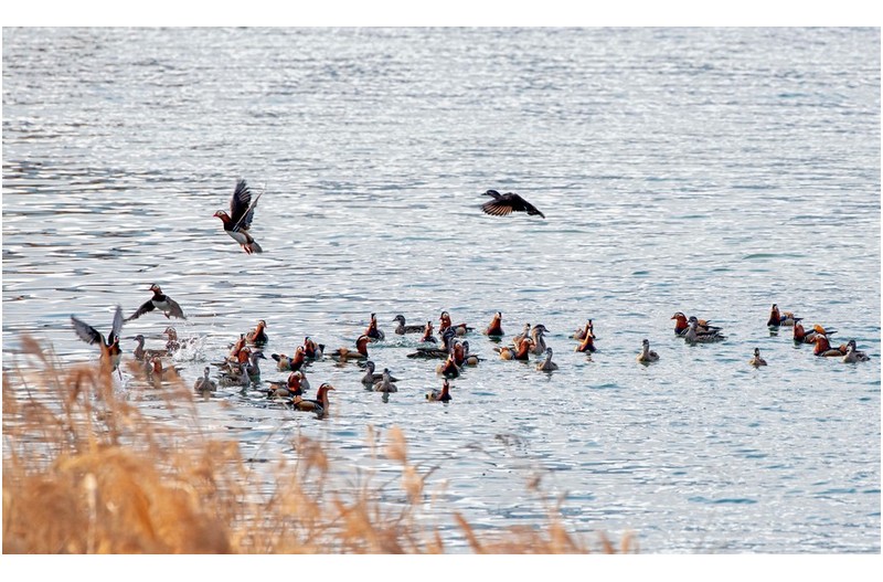 바람불어 좋은날