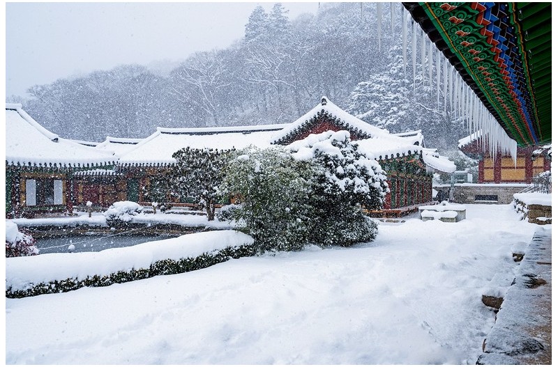 폭설(백양사)