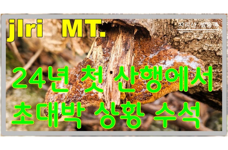 사고 이후 24 년 처음 산행 입니다