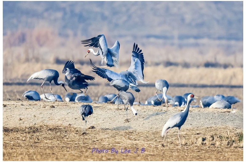 내 갈길을 간다