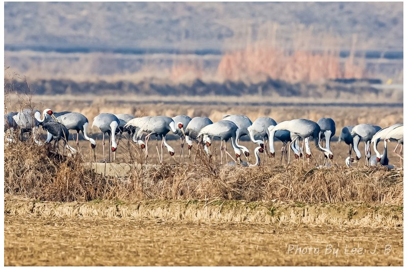 먹는 일에만 집중