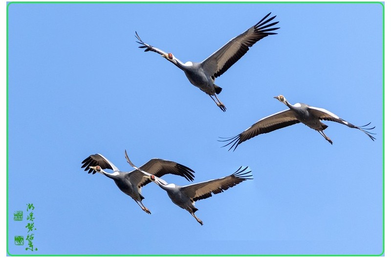 28일주남저수지