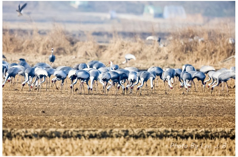 오로지 먹는데만