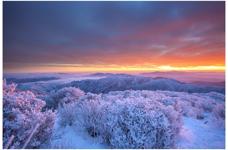여명빛에 물든 설산