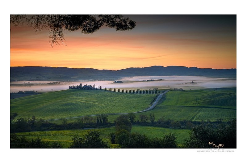 초원의 밝아오는 여명속에