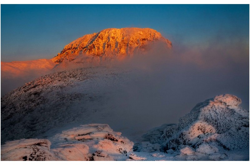 수줍은 화구벽(한라산)