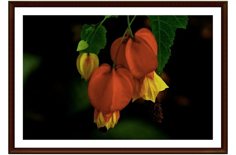 봄을 알f리 내요