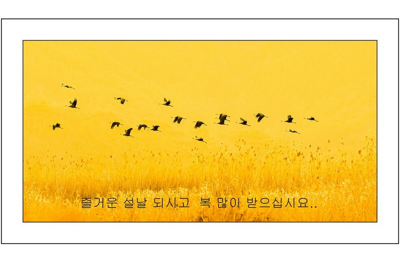 즐거운 명절되세요.....