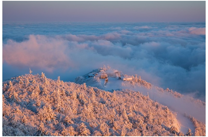운해가 넘실 거리는 설천봉