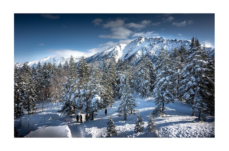 신호타카 마운틴