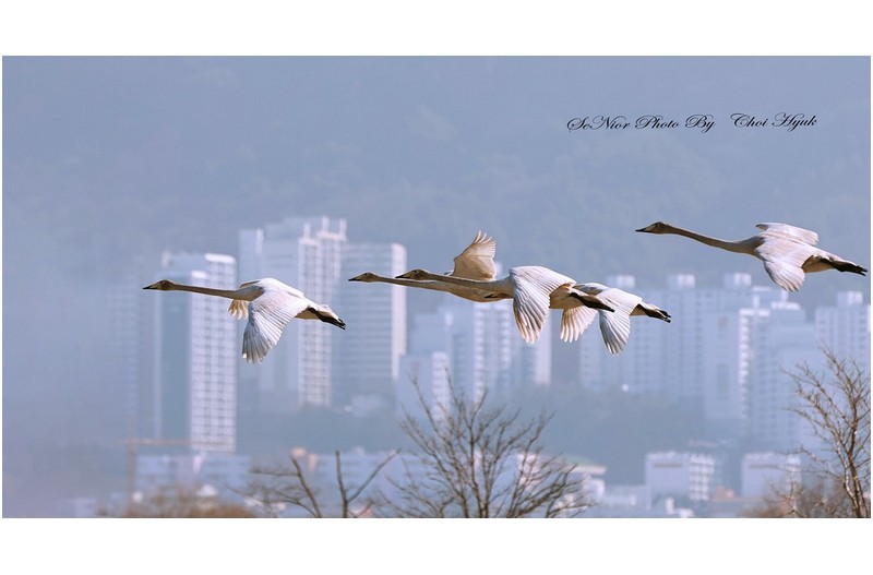 ㅡㅡㅡ   부산서  울산 선암호수 공원으로   ㅡㅡㅡ