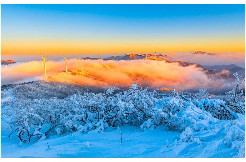 능선따라 흐르는 운해