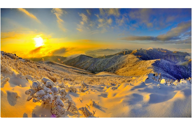 지난 사진 입니다