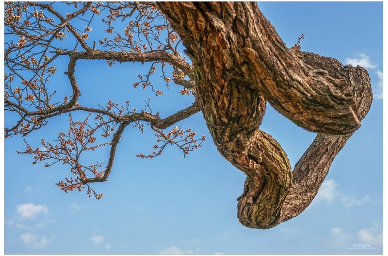 건설공고 와룡매